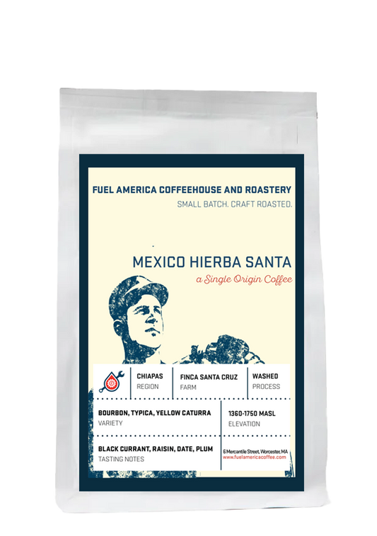 Premium Single Origin Mexico Hierba Santa